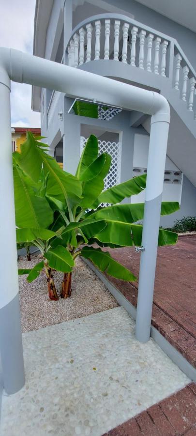 Villa Raven´s Paradise  Willemstad Exterior foto